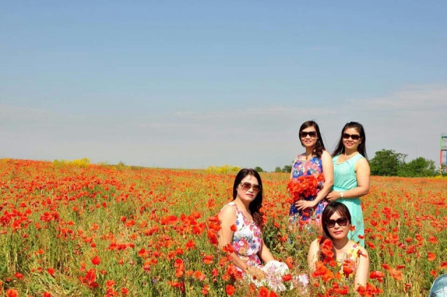 Các cánh đồng hoa anh túc đỏ quanh Odessa