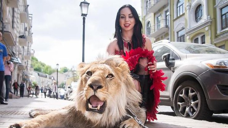 Odessa đăng cai chương trình Festival xiếc hoành tráng nhất tại Ukraine