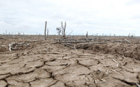 Khoảng 60 triệu người trên khắp thế giới chịu ảnh hưởng của El Nino