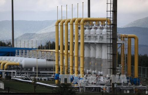 Nga không định ngừng trung chuyển khí đốt qua Ukraine