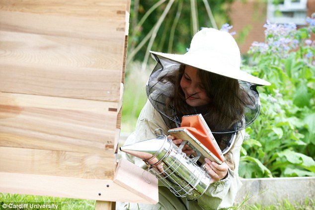 Phát hiện khó tin: Loài ong có ngôn ngữ địa phương