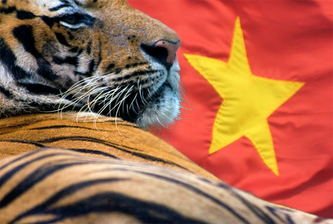 Việt Nam: “Con hổ Châu Á” mới đang trỗi dậy