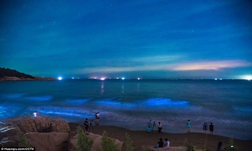Bãi biển phát sáng màu xanh dương ở Trung Quốc