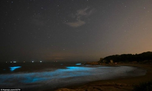 Bãi biển phát sáng màu xanh dương ở Trung Quốc