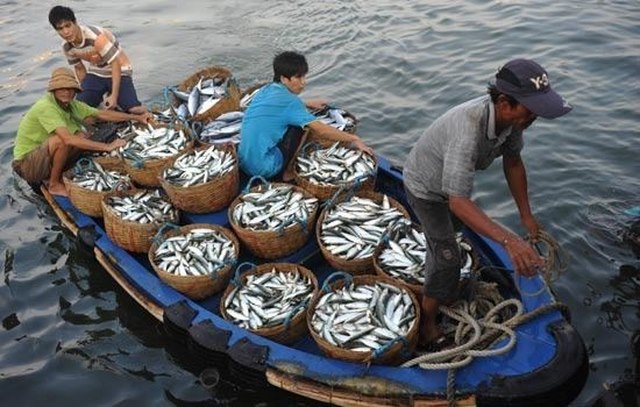 Dầu mỏ không phải là thứ được thèm khát nhất ở Biển Đông