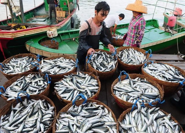 Dầu mỏ không phải là thứ được thèm khát nhất ở Biển Đông