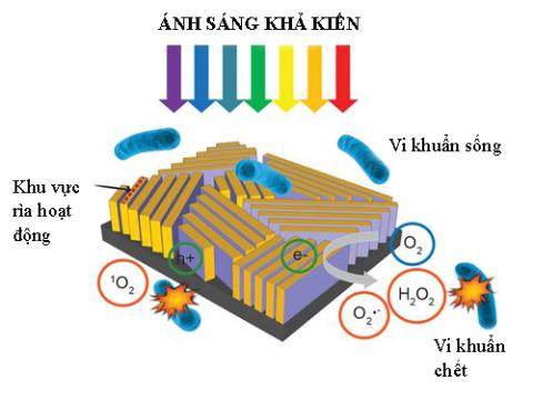 Phát minh thiết bị khử trùng nước cực nhanh