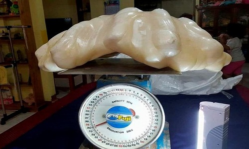 Khối ngọc trai 34 kg trong nhà ngư dân Philippines