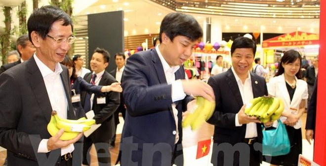 Chuối Việt Nam lần đầu xuất hiện ở siêu thị lớn nhất Nhật Bản
