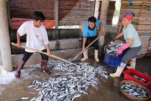 Bộ Y tế: Hải sản miền Trung sống tầng đáy trong 20 hải lý chưa an toàn