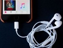 Apple thừa nhận lỗi tai nghe Lightning EarPods trên iPhone 7, hứa sớm khắc phục