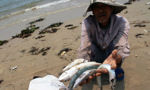 Tăng trưởng kinh tế chậm lại vì cá chết ở Formosa