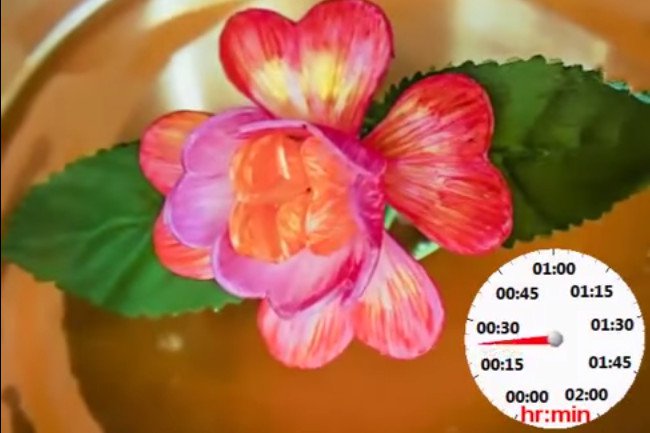 Phát triển thành công vật liệu có thể tự biến hình