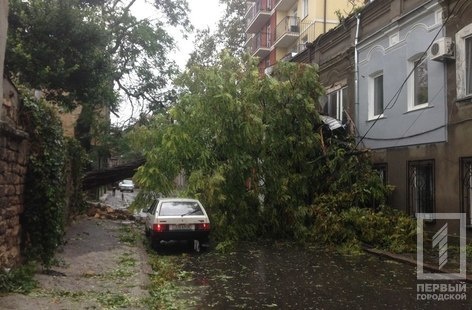 Mưa to gió lớn tại Odessa : 2 người bị chết, hàng trăm cây bị đổ