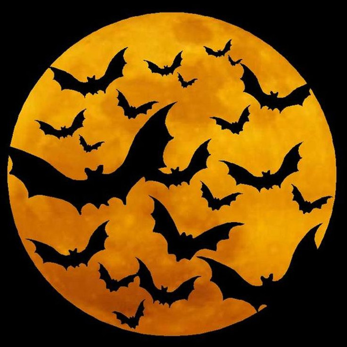 Những truyền thuyết muôn đời bí ẩn về Halloween