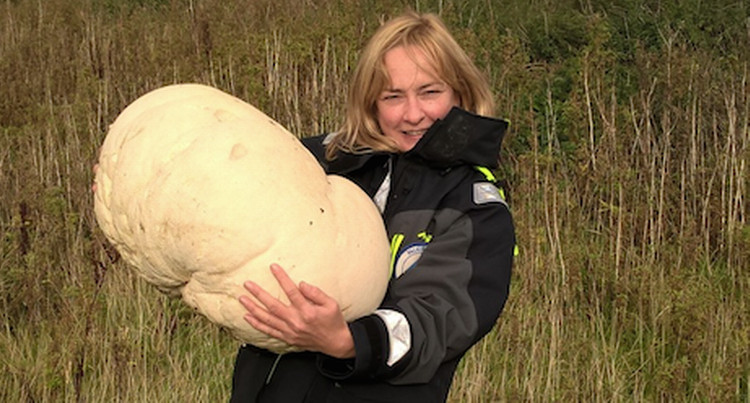Nấm trứng nặng hơn 10kg ở Scotland