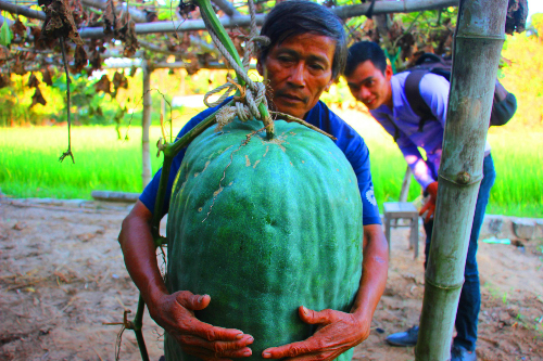 Trái cây lạ giúp nông dân Việt làm giàu
