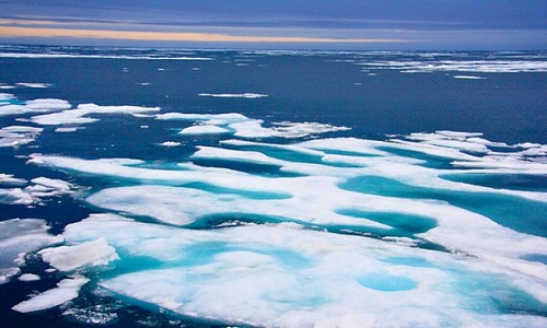 Quân đội Canada điều tra âm thanh chói tai phát ra từ đáy biển