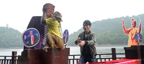 'Thánh khỉ' Trung Quốc tiên đoán Trump trúng cử