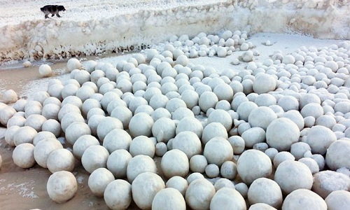 Hàng nghìn quả cầu tuyết xuất hiện trên bờ biển Nga