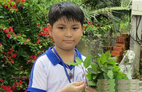 Nhà sáng chế tí hon, thất bại ba lần trước khi chế thành công máy diệt ruồi