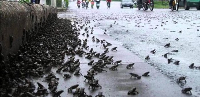 Kinh ngạc top sự kiện hiếm có khó tin trong lịch sử
