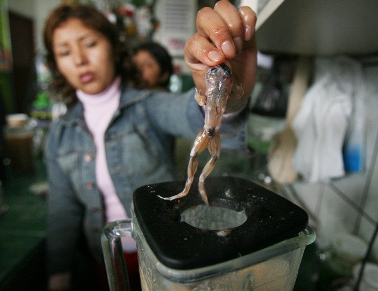 Top 10 món ăn kinh dị nhất hành tinh