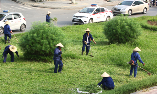 Hà Nội quy định mỗi năm cắt cỏ 18 lần