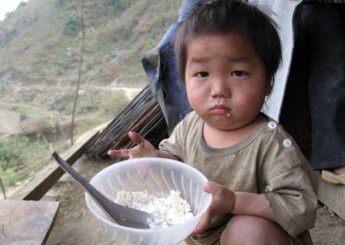 Gần một triệu người nghèo nhận gạo cứu đói dịp Tết