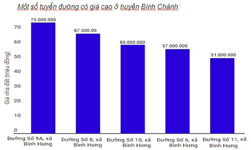 Đất huyện vùng ven xét lên quận ở Sài Gòn rục rịch tăng giá