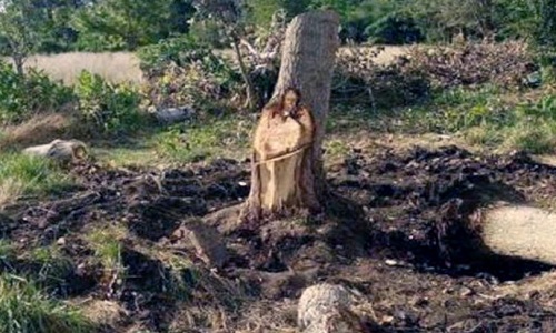 Khúc cây hình Chúa Jesus được dân Argentina tôn thờ
