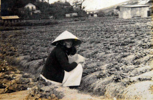 Người đầu tiên mang rau, hoa Đà Lạt về Sài Gòn