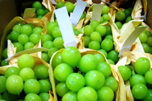 Những trái cây ngoại có giá gấp hàng chục lần hàng nội