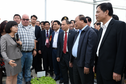 Thủ tướng muốn có gói tín dụng 100.000 tỷ đồng cho nông nghiệp công nghệ cao