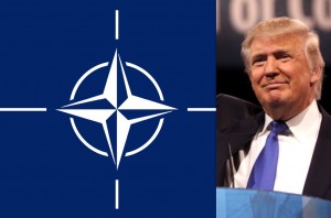 Tổng thống Mỹ Trump bàn luận với Tổng thư ký NATO các phương án giải quyết khủng hoảng tại Donbass