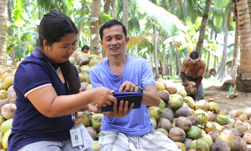 Nông dân Philippines trồng dừa qua thiết bị di động