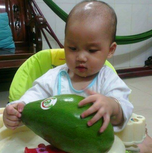 Những lão nông kiếm tiền tỷ từ nông sản khổng lồ