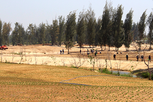 Phú Yên cho đốn hơn 100 hecta rừng làm sân golf