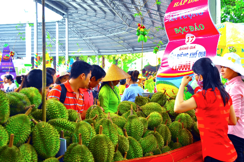 Lễ hội trái cây Nam bộ tại Suối Tiên