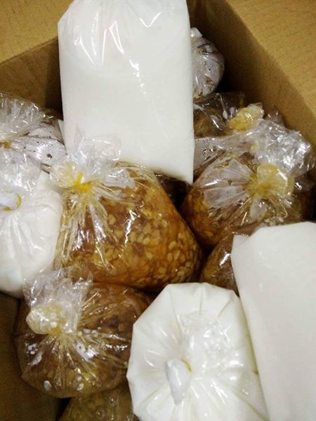Ngày bán 2 tạ chè bưởi, cô sinh viên thu vài trăm triệu/tháng