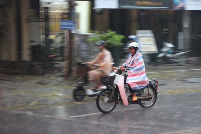 Hà Nội mưa giông lớn, cây đổ, đường ngập