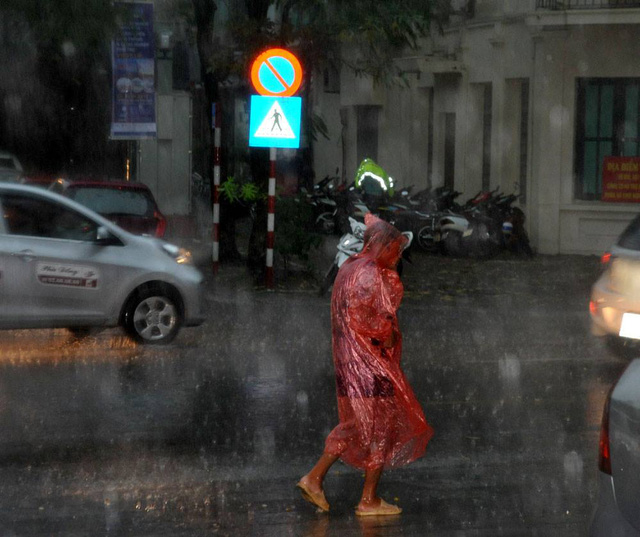 Hà Nội mưa giông lớn, cây đổ, đường ngập