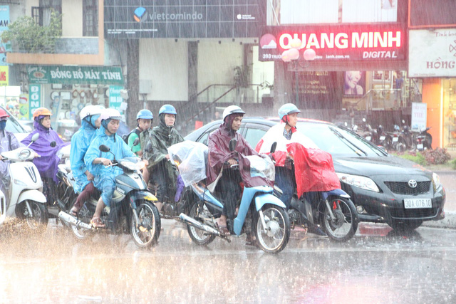 Hà Nội mưa giông lớn, cây đổ, đường ngập