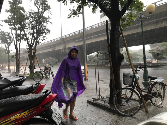 Hà Nội mưa giông lớn, cây đổ, đường ngập