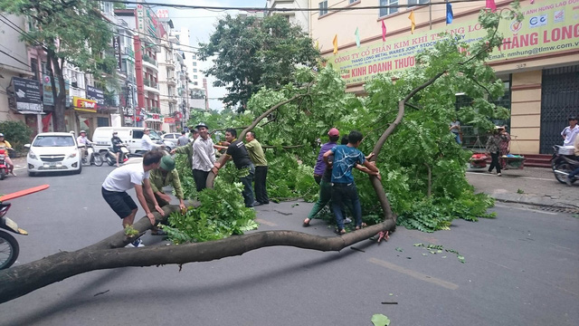 Hà Nội mưa giông lớn, cây đổ, đường ngập