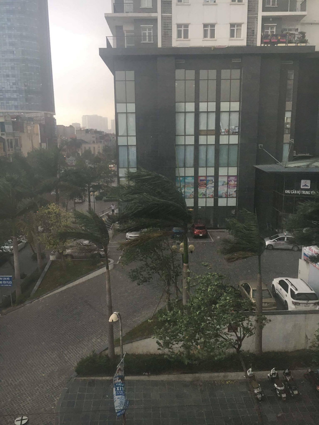 Hà Nội mưa giông lớn, cây đổ, đường ngập