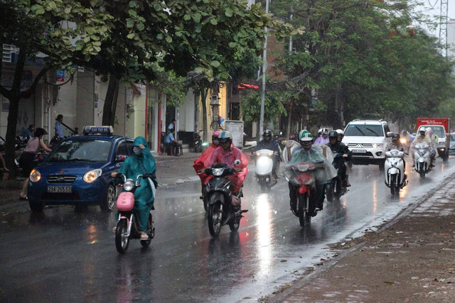 Hà Nội mưa giông lớn, cây đổ, đường ngập