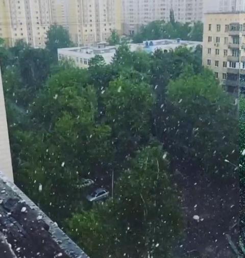 Đóng băng cây cối ở Nga giữa mùa hè