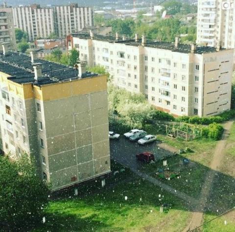 Đóng băng cây cối ở Nga giữa mùa hè
