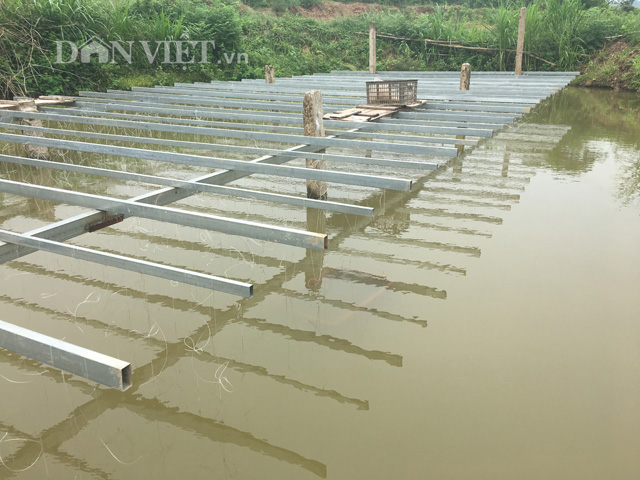 5 tỷ đồng dưới đáy ao của chàng trai Bắc Giang